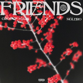 Friends ft. Moleiro lyrics | Boomplay Music