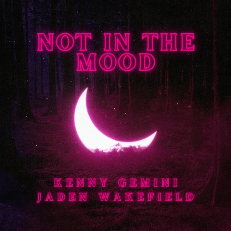 Not In The Mood ft. Kenny Gemini | Boomplay Music