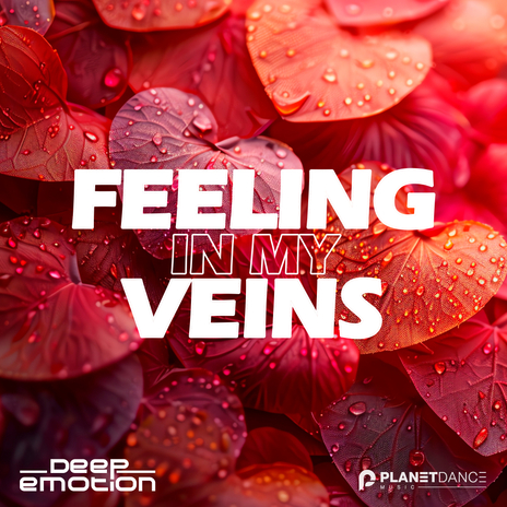 Feeling in My Veins (Extended Mix) | Boomplay Music