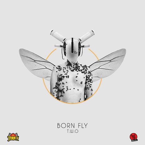 Born Fly | Boomplay Music