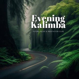 Evening Kalimba - Gentle Sounds, Forest Meditation, Rest