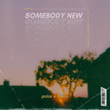 Somebody New ft. LLUISA | Boomplay Music