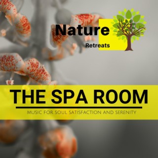The Spa Room - Music for Soul Satisfaction and Serenity