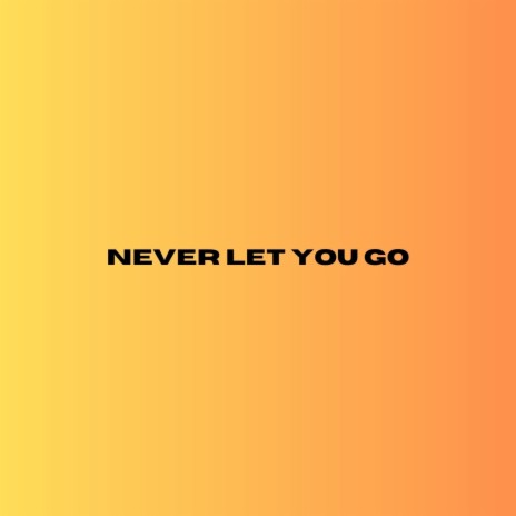 Never Let You Go (Acoustic)