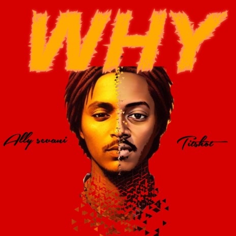 WHY ft. titshot | Boomplay Music