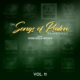 Songs of Psalm Experience, Vol. 11
