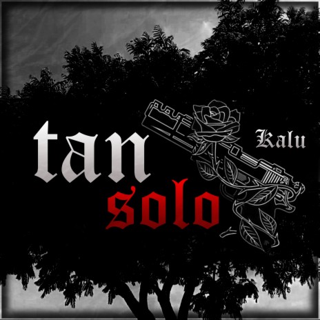 Tan Solo | Boomplay Music