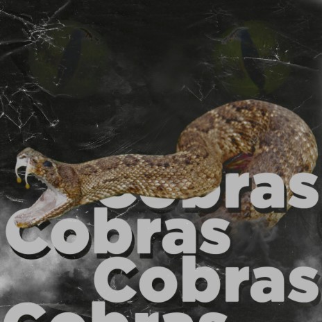 Cobras | Boomplay Music