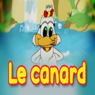 Le canard