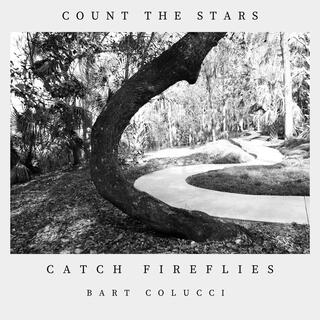 Count the Stars Catch Fireflies