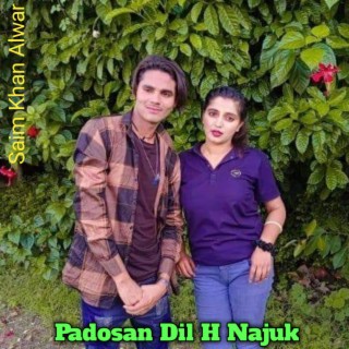 Padosan Dil H Najuk