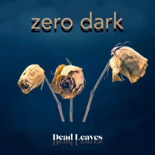 Zero Dark