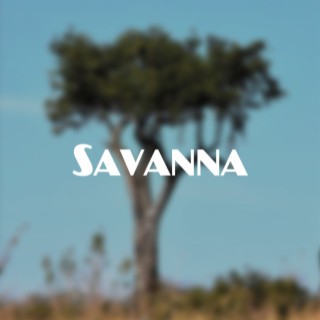 Savanna