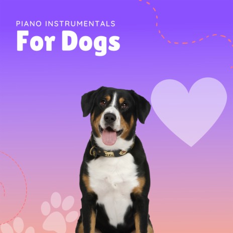 Instrumental Pets ft. Pet Music Therapy & PETS LOVE MUSIC | Boomplay Music