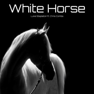 White Horse (feat. Chris Combs)