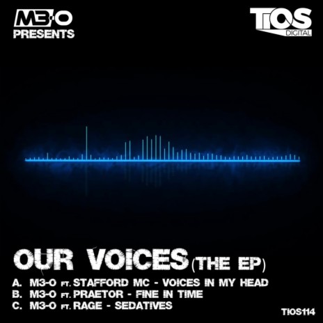 Voices in my Head (Original Mix) ft. Stafford MC | Boomplay Music