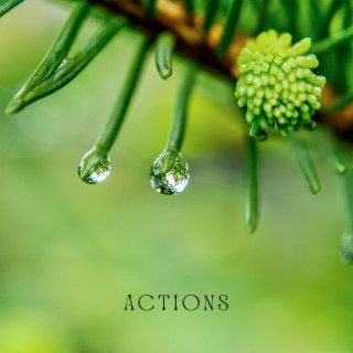 Actions