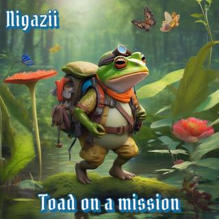 Toad on a mission