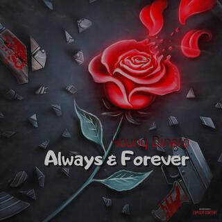 Always & Forever lyrics | Boomplay Music