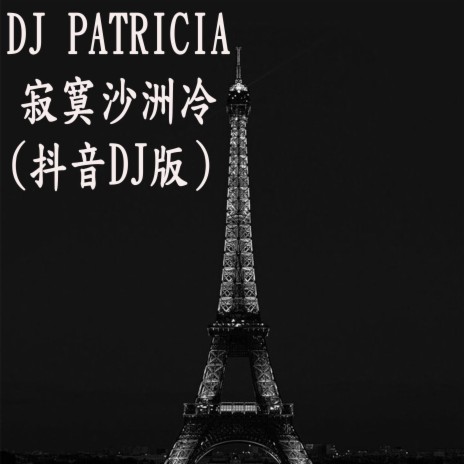 DJ PATRICIA -寂寞沙洲冷 (抖音DJ版）