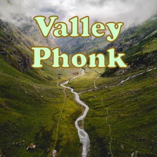 Valley Phonk lyrics | Boomplay Music