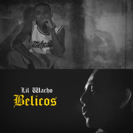 Belicos | Boomplay Music