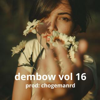 pista dembow vol 16