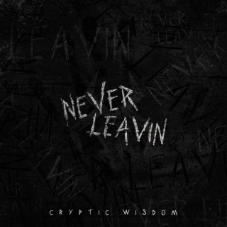 Never Leavin lyrics | Boomplay Music