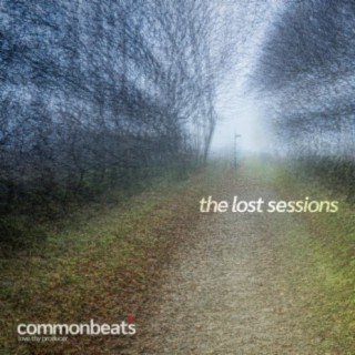the lost sessions
