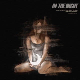 In The Night lyrics | Boomplay Music