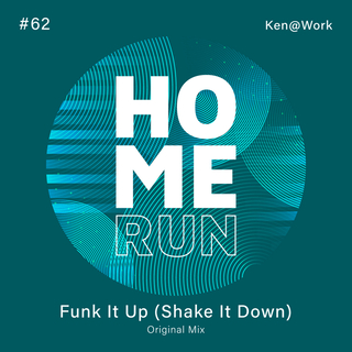 Funk It Up (Shake It Down)