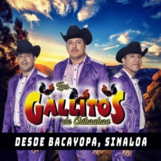 En Vivo Desde Bacayopa Sinaloa