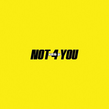 Not 4 You | Boomplay Music