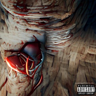 Artery