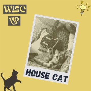 House Cat