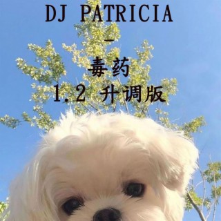 DJ PATRICIA 毒药 1.2 升调版