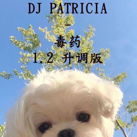 DJ PATRICIA 毒药 1.2 升调版 | Boomplay Music