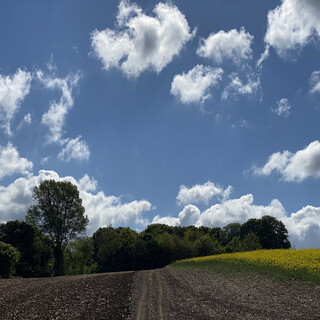 Happy Rossy Clouds