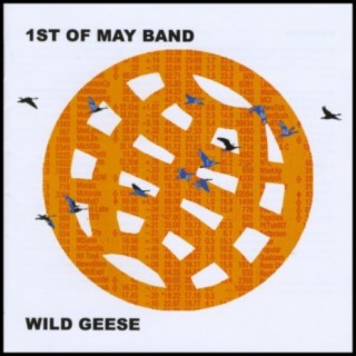 Wild Geese