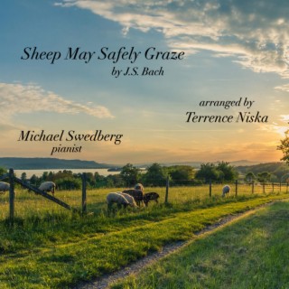 Sheep May Safely Graze