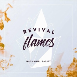 Revival Flames Copy