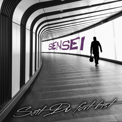 Seit Du fort bist ft. Sensei | Boomplay Music