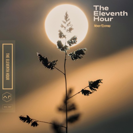 THE ELEVENTH HOUR | Boomplay Music