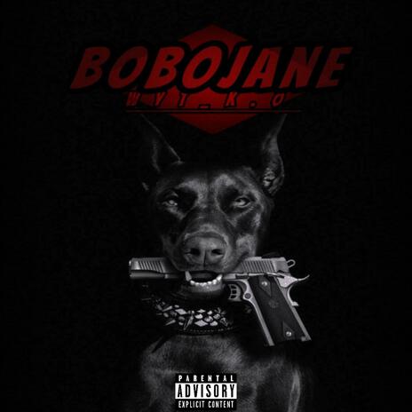 Bobojane | Boomplay Music