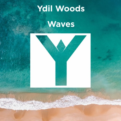Waves (Ydil Woods Sunset Cocktail Chillout Mix)