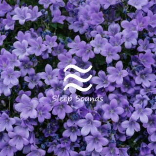 Sleeping Soft with White Sound