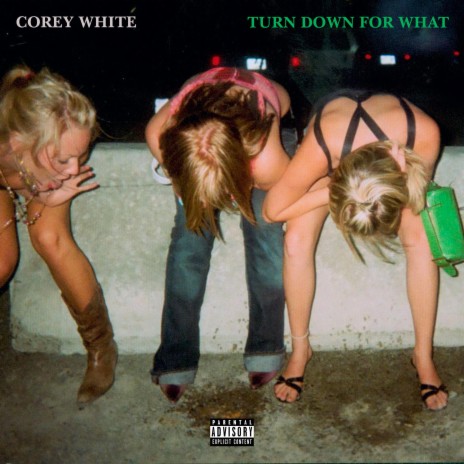 Turn down for What | Boomplay Music