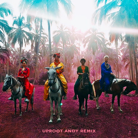 Playa Grande (Uproot Andy Remix) ft. Bomba Estéreo