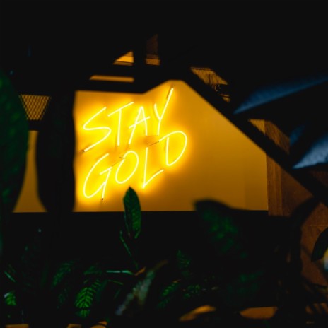 Stay gold chillop (Special Version) | Boomplay Music