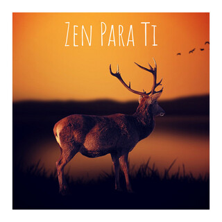 Zen para Ti